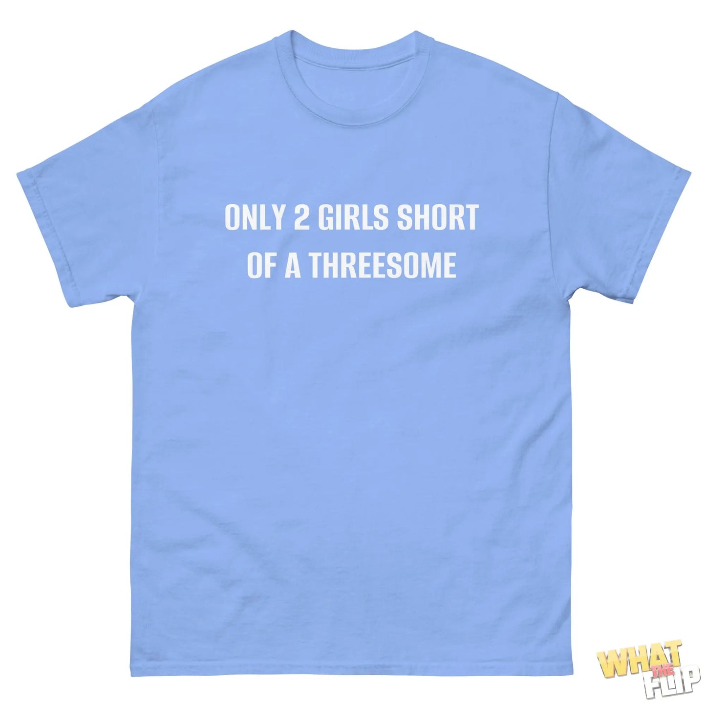 Only 2 Girls Short of a Threesome What the Flip.